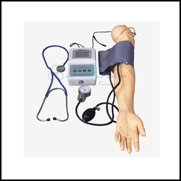 Advanced Blood Pressure Training Arm Model
