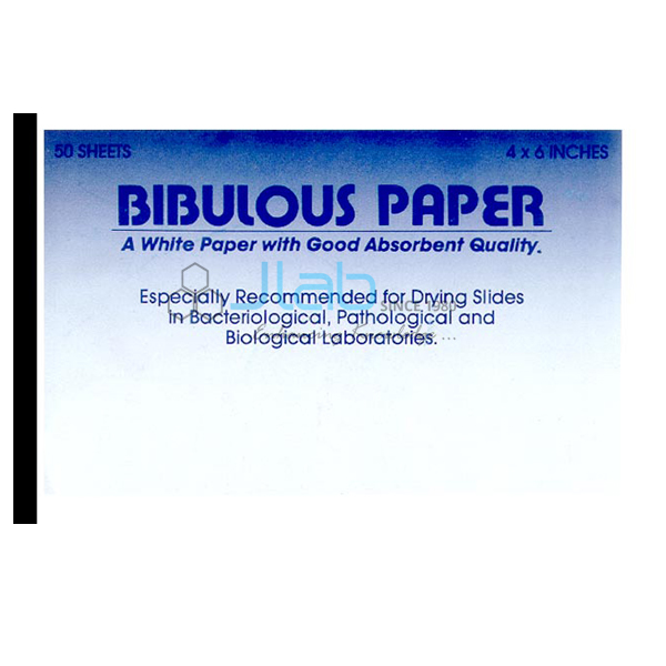 Bibulous Paper