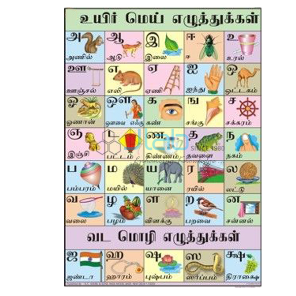 tamil alphabet