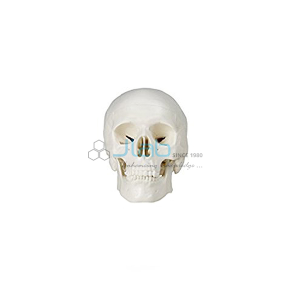 Mini Skull 3 Parts
