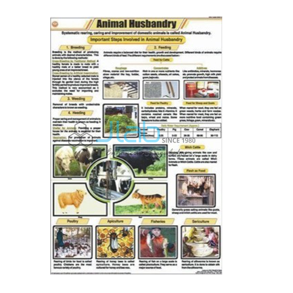 Animal Husbandry