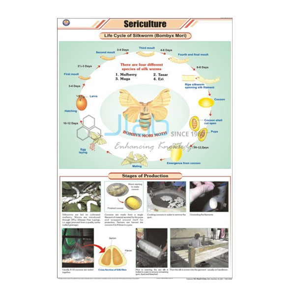 Sericulture (L. H. Silkworm)