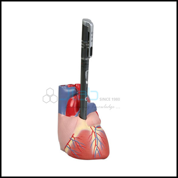 Heart Pen Stand