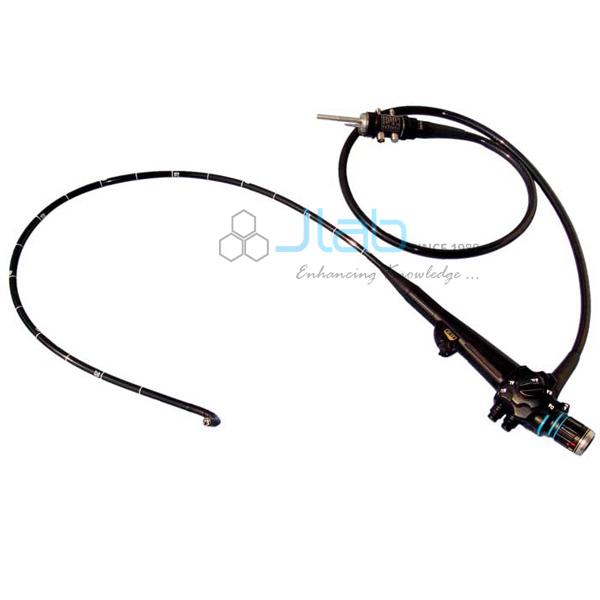 Medical Endoscopes