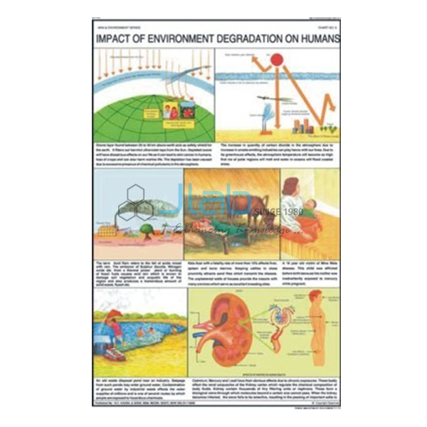 Impact of Environment Degradation on Humans Chart