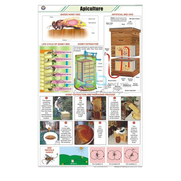 Apiculture