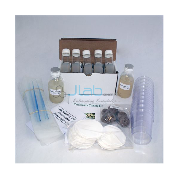 Cauliflower Cloning Kit