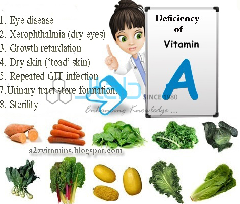Vitamin A Deficiency Model