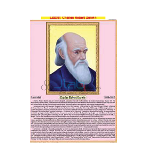 Charles Robert Darwin Chart