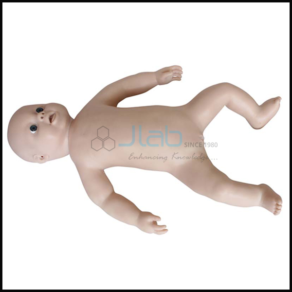 Newborn Baby Model Female