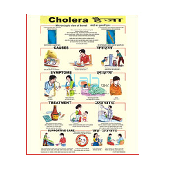 Cholera Chart