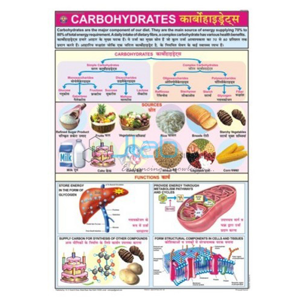 Sources Of Carbohydrates Chart