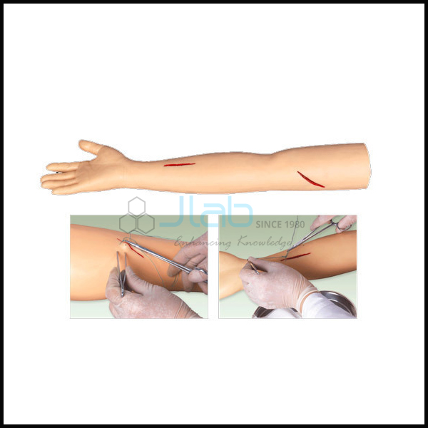 Advanced Surgical Suturing Arm Model