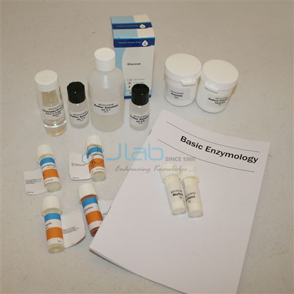 Basic Enzymology Kit