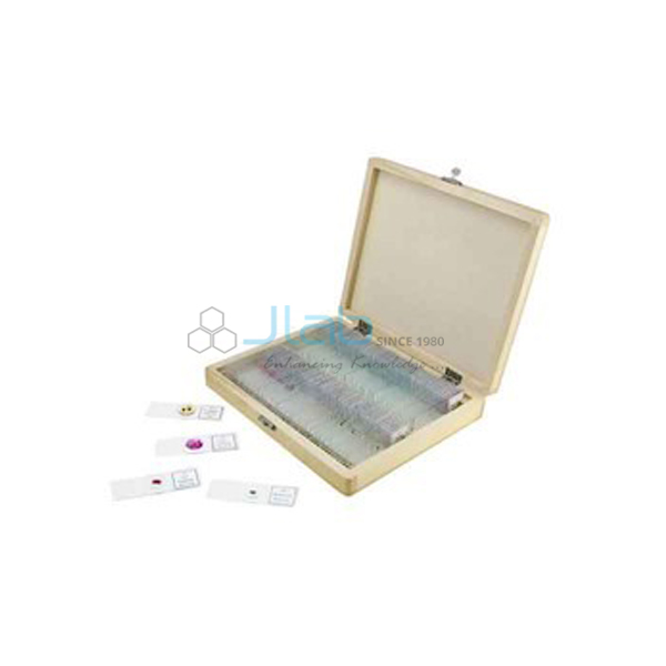 Mitosis and Meiosis Set, Microscope Slides