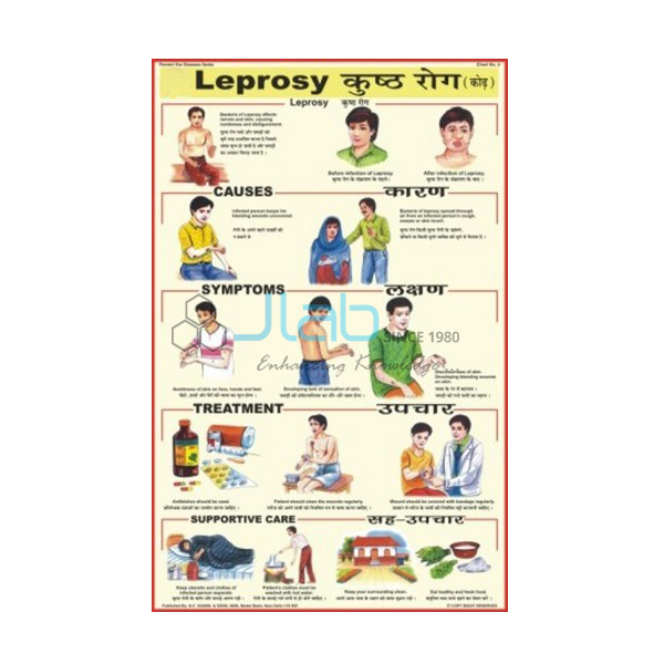 Leprosy Chart