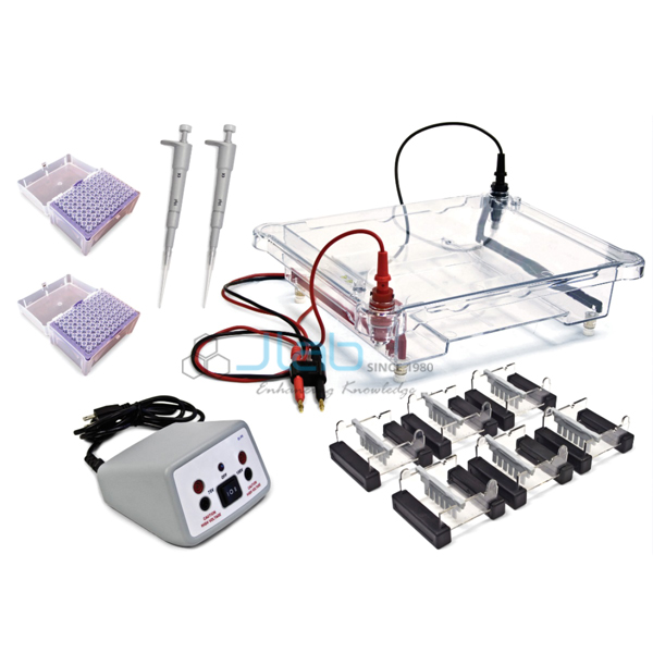 Electrophoresis Classroom Kit