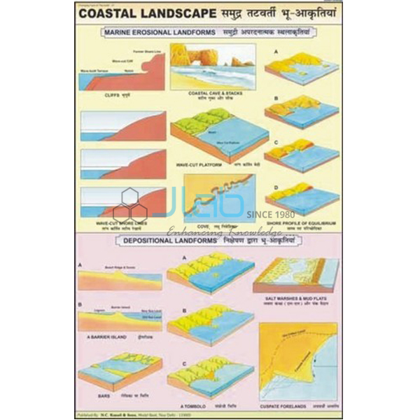 Coastal Landscape Chart