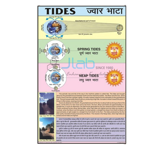 Tides Chart