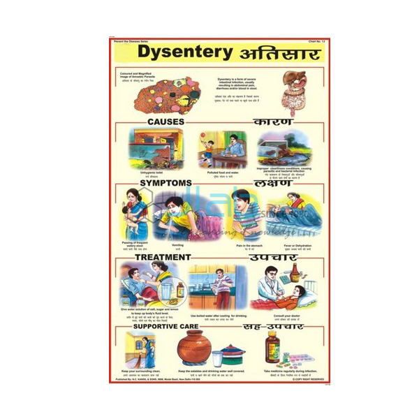 Dysentery Chart