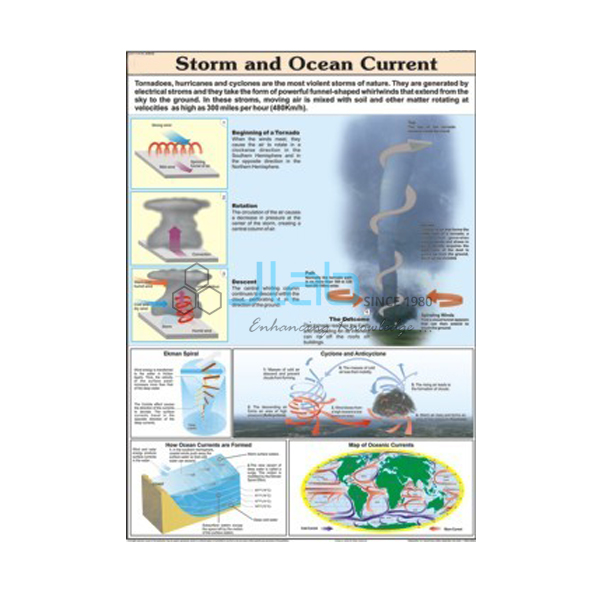 Storm and Ocean Current Chart