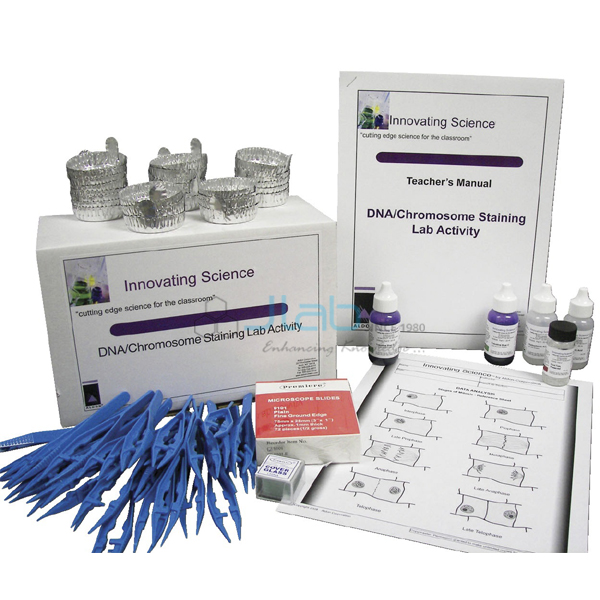 DNA/Chromosome Staining Lab Activity