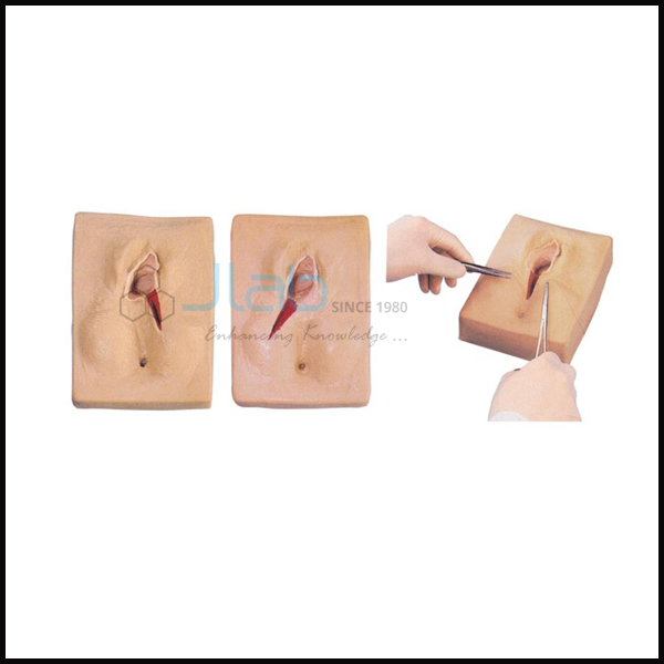 Valva Suturing Training Simulator