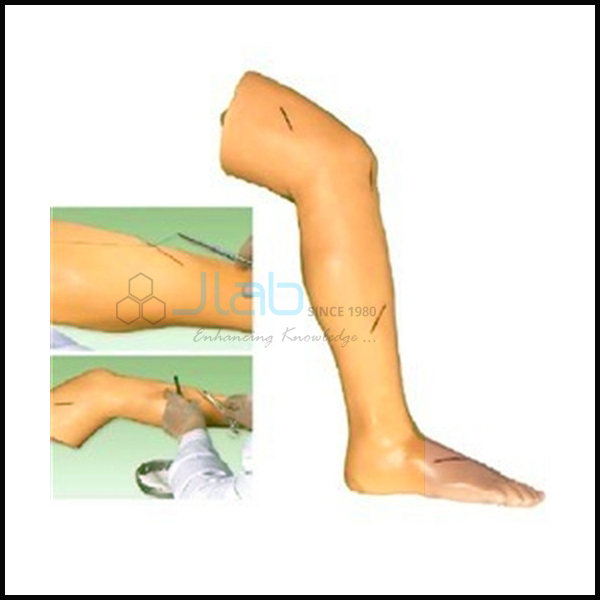 Surgical Suture Leg