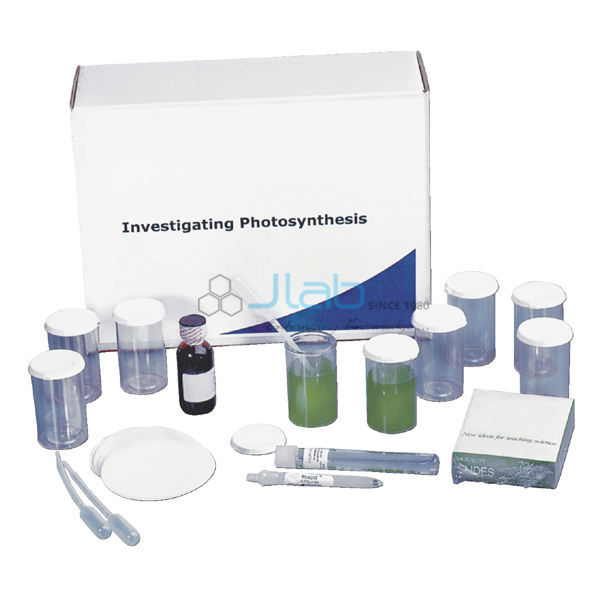 Investigating Photosynthesis