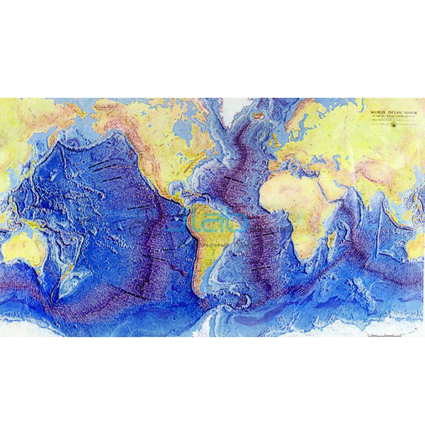 Ocean Floor Raised Relief Map
