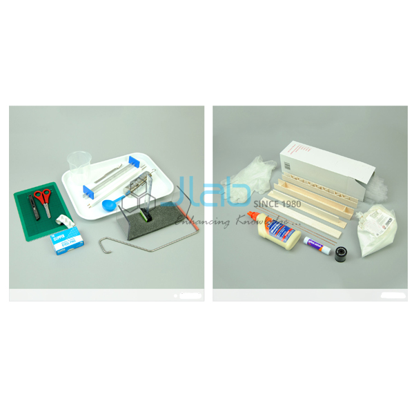 Structures and Materials Teaching Set
