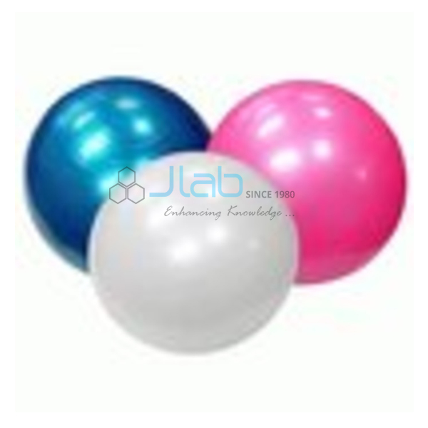 Exercise Physio Ball