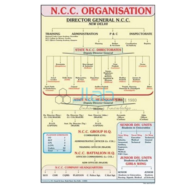 Ncc Organization Chart