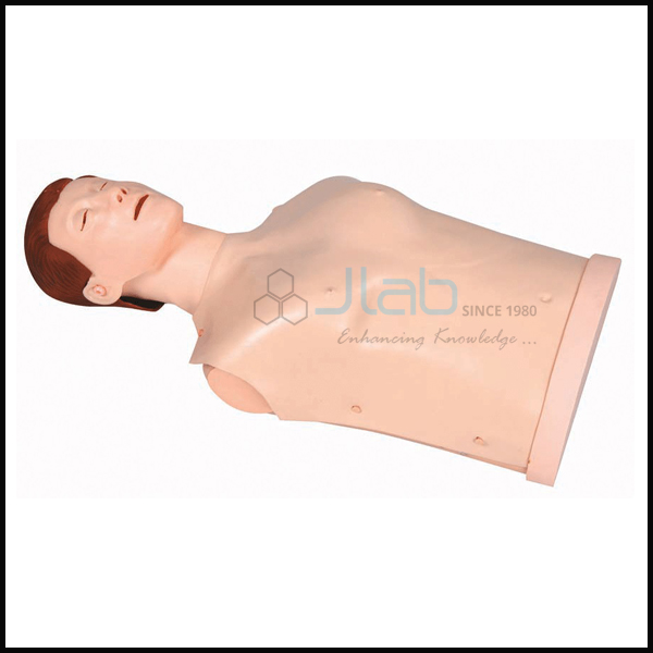 Half Body CPR Training Model Male