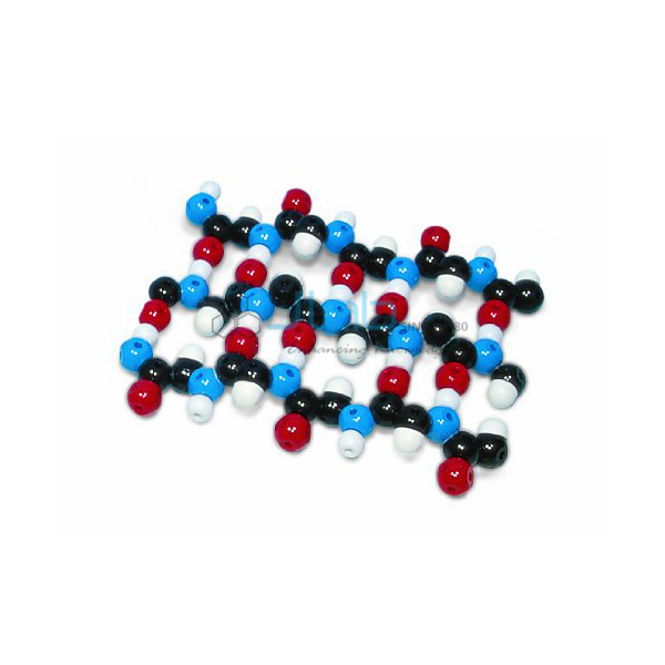 Protein Beta Pleated Sheet Molecular Model Kit