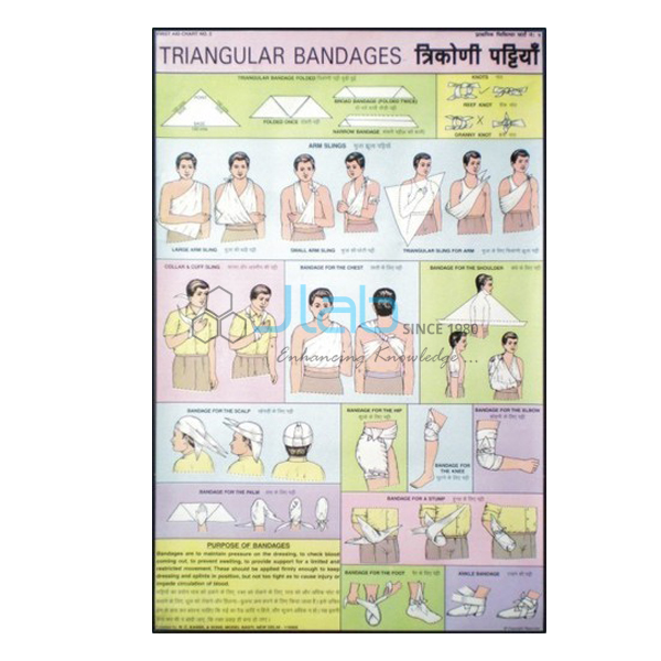 Triangular Bandages Chart