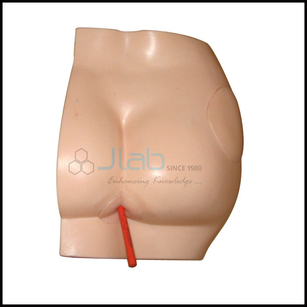 Buttock Injection Model