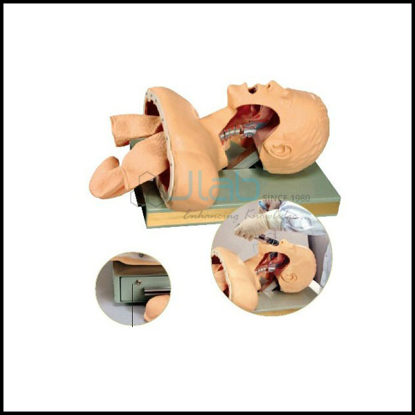 Airway Intubation Simulator