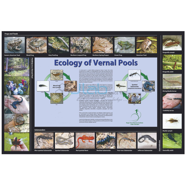Ecology of Vernal Pools Poster