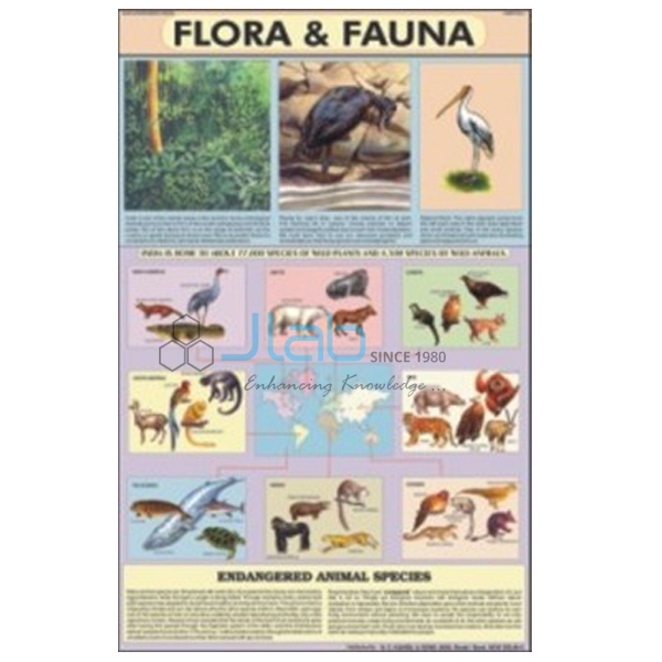 Flora and Fauna Chart