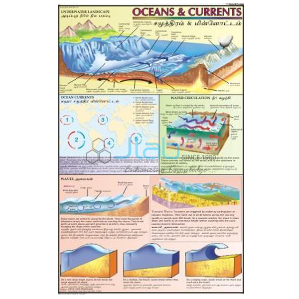 Ocean Currents Chart