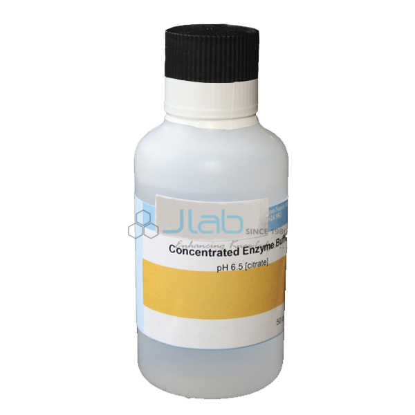 Concentrated Enzyme Buffer India, Concentrated Enzyme Buffer