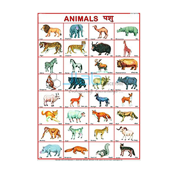 Animals Chart India, Albania (Tirane), Algeria (Algiers), Andorra (Andorra la Vella), Angola (Luanda), Antigua and Barbuda (Saint John's), Argentina (Buenos Aires), Armenia (Yerevan), Australia (Canberra, Melbourne & Adelaide), Austria (Vienna ... Animals Chart India, Albania (Tirane), Algeria (Algiers), Andorra (Andorra la Vella), Angola (Luanda), Antigua and Barbuda (Saint John's), Argentina (Buenos Aires), Armenia (Yerevan), Australia (Canberra, Melbourne & Adelaide), Austria (Vienna ...