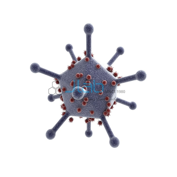 Adeno Virus Model
