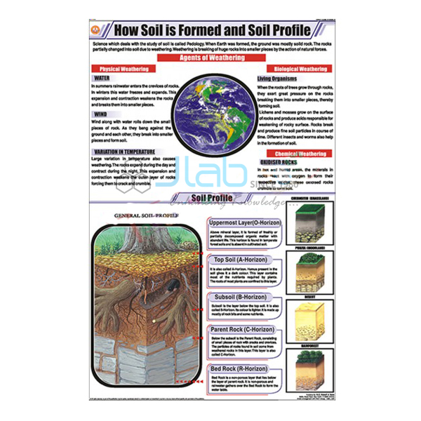 How Soil is formed and soil profile