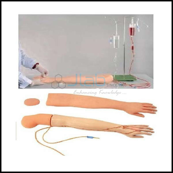 Multi-Functional Adult IV Training Arm Model