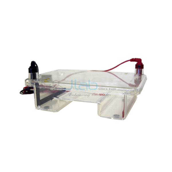 Gel Electrophoresis System