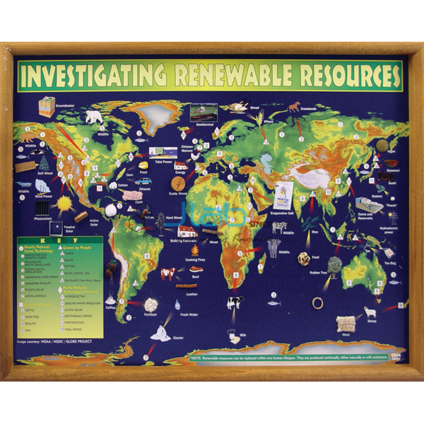 Investigating Renewable Resources