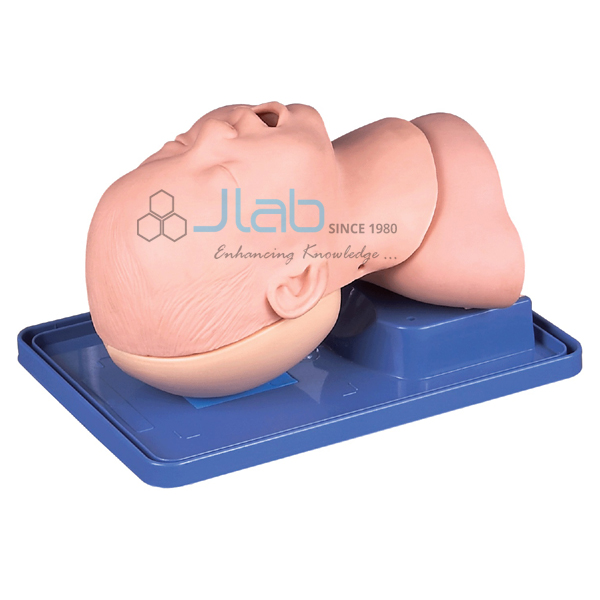 Infant Airway Management Model