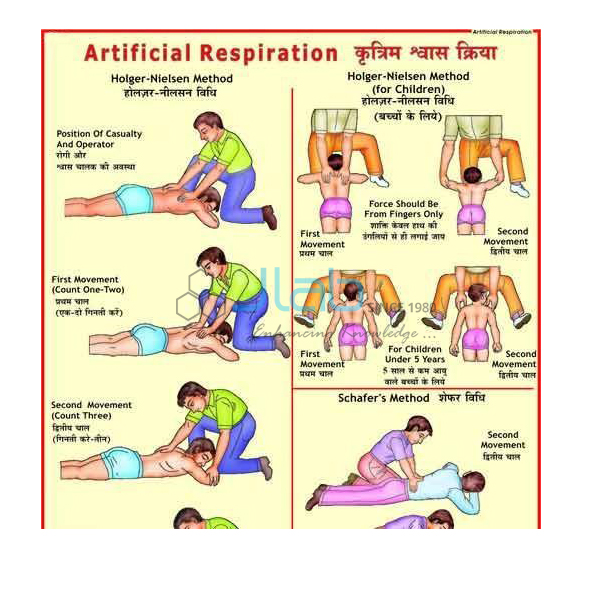 Respiration Chart